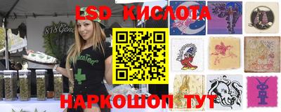 стафф Можга