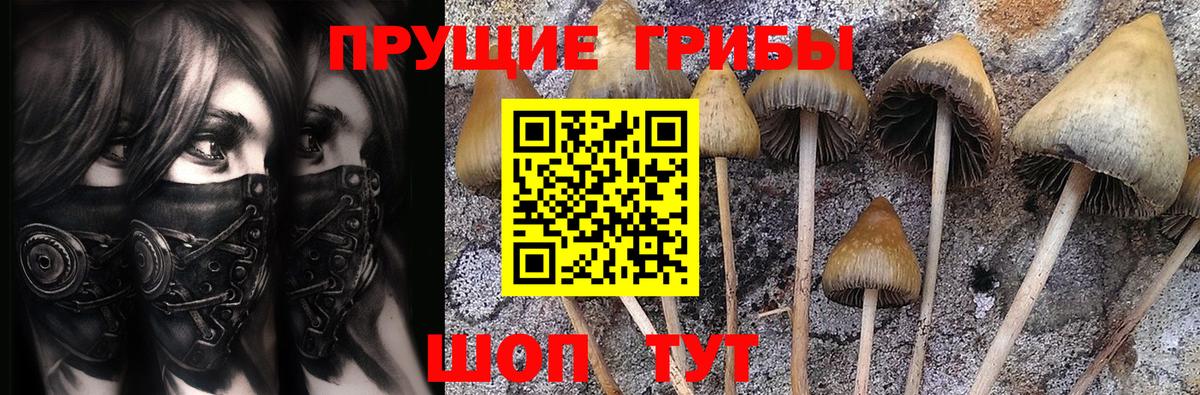 Советск  Галлюциногенные грибы Psilocybe  Вход с VPN  Псилоцибиновые грибы Magic Shrooms 